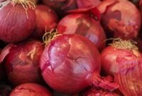 Harga Bawang Merah Mengalami Kenaikan. (Pixabay.com/Hans)