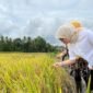 Salah satu strategi BULOG adalah melalui Program 