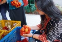 Pemerintah bergerak cepat saat kalangan petani tanaman pangan sedang mengalami kesulitan pada harga jual. (Dok. Tim Komunikasi Bapanas)

