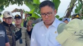 Wamentan Sudaryono saat meninjau langsung pompa yang terpasang di Desa Sumbersari, di Kecamatan Ciparay, Kabupaten Bandung, Jawa Barat. (Tangkapan layar video Instagram @sudaru_sudaryono)