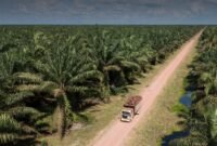 PT Bakrie Sumatera Plantations. (Dok. bakriesumatera.com)