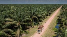 PT Bakrie Sumatera Plantations. (Dok. bakriesumatera.com)