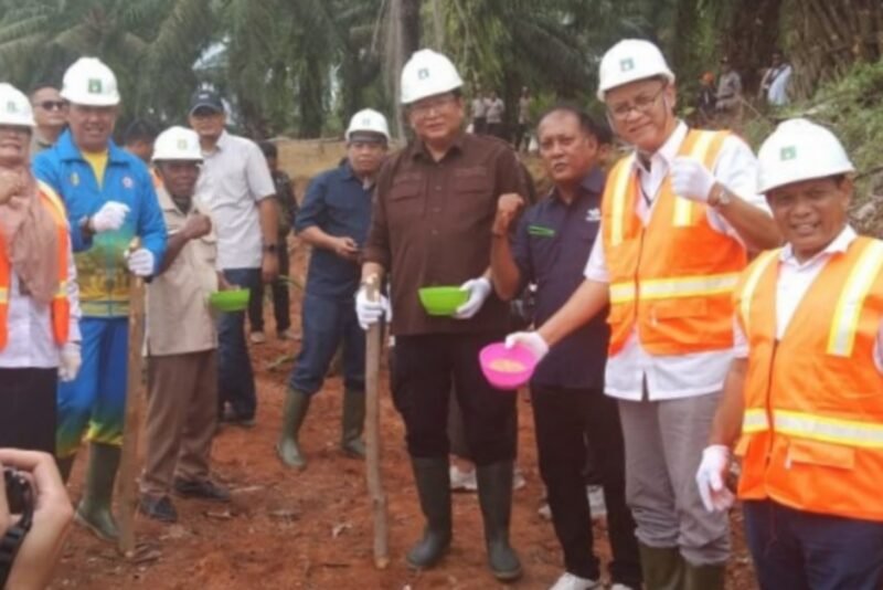 Rumah Sawit Indonesia (RSI) akan selalu mendampingi petani dan perusahaan perkebunan kelapa sawit agar bisa bermitra yang saling menguntungkan. (Dok. Paya Pinang Group),
