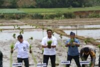 Wakil Menteri Pertanian (Wamentan) Sudaryono saat meninjau percepatan tanam di Kabupaten Jepara, Jawa Tengah, Kamis, 3 Oktober 2024. (Dok. Kementan)