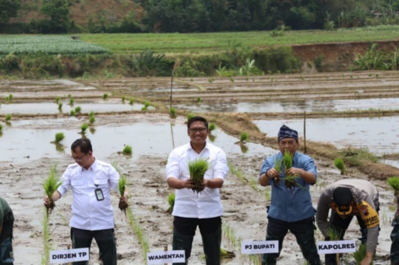 Wakil Menteri Pertanian (Wamentan) Sudaryono saat meninjau percepatan tanam di Kabupaten Jepara, Jawa Tengah, Kamis, 3 Oktober 2024. (Dok. Kementan)