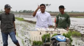 Wakil Menteri Pertanian (Wamentan), Sudaryono. (Dok. Kementan)