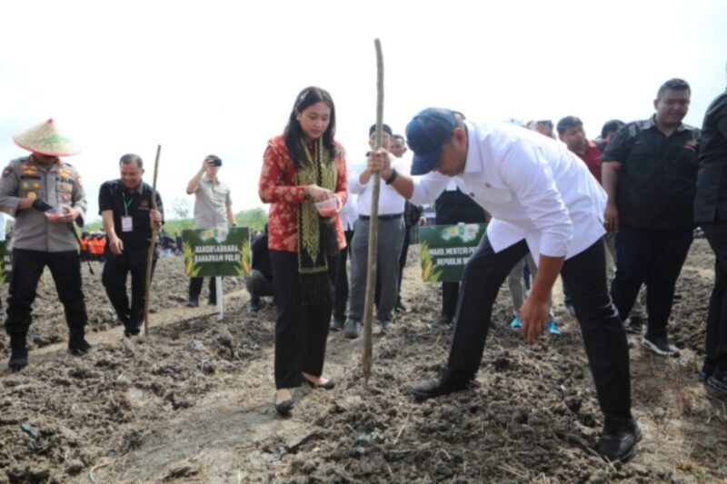 Wakil Menteri Pertanian (Wamentan), Sudaryono. (Dok. Kementerian Pertanian)