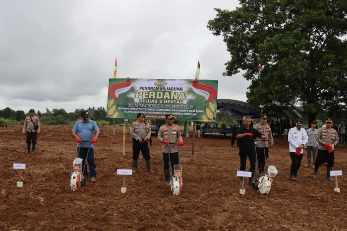 PTPN IV PalmCo Optimalkan Lahan Replanting Sawit. (Dok. Sawitindonesia.com)