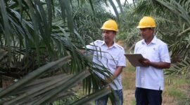 PT Perkebunan Nusantara (PTPN) IV PalmCo menggulirkan program Tanggung Jawab Sosial dan Lingkungan (TJSL). (Dok. Ptpn4.co.id)