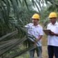 PT Perkebunan Nusantara (PTPN) IV PalmCo menggulirkan program Tanggung Jawab Sosial dan Lingkungan (TJSL). (Dok. Ptpn4.co.id)