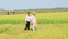 Keberhasilan Presiden Prabowo Subianto dalam membenahi sektor pertanian nasional mendapat apresiasi. (Facebook.com @Setkab RI)