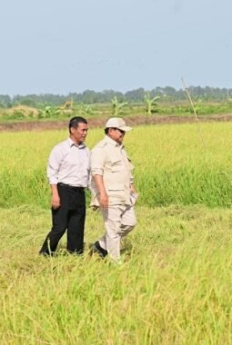 berita-rekomendasi-foto