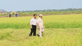Keberhasilan Presiden Prabowo Subianto dalam membenahi sektor pertanian nasional mendapat apresiasi. (Facebook.com @Setkab RI)