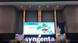 Petani antusias mendengarkan Tracy dari Syngenta saat menjelaskan praktik pengendalian hama tahan jangka panjang. (Dok. Syngenta Indonesia)