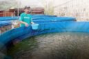2. Investigasi kasus eFishery terus bergulir, audit PPATK dan FTI Consulting menjadi kunci transparansi startup agritech. (Facebook.com @eFishery)
