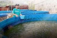 2. Investigasi kasus eFishery terus bergulir, audit PPATK dan FTI Consulting menjadi kunci transparansi startup agritech. (Facebook.com @eFishery)