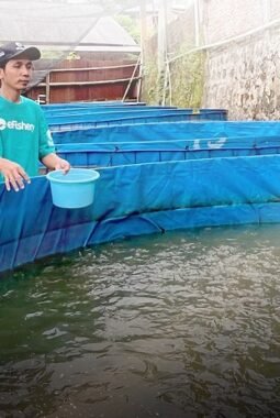 berita-rekomendasi-foto