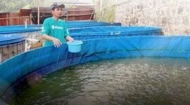 2. Investigasi kasus eFishery terus bergulir, audit PPATK dan FTI Consulting menjadi kunci transparansi startup agritech. (Facebook.com @eFishery)