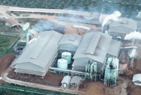 1. Gozco Plantations sukses membalikkan kerugian jadi laba lewat strategi efisiensi yang tepat sasaran. (Dok. gozco.com)