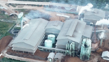 1. Gozco Plantations sukses membalikkan kerugian jadi laba lewat strategi efisiensi yang tepat sasaran. (Dok. gozco.com)